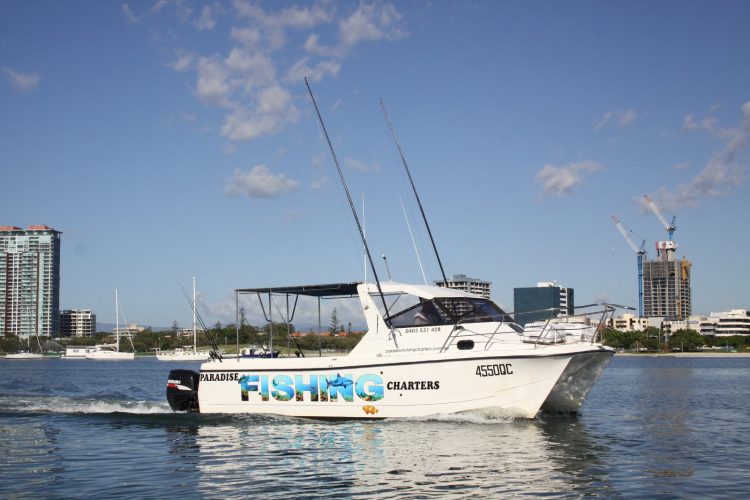 Queensland Fishing Charters & Fishing Trips