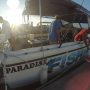 Full-Day Fishing Charter Brisbane and Gold Coast – Paradise Fishing Charters