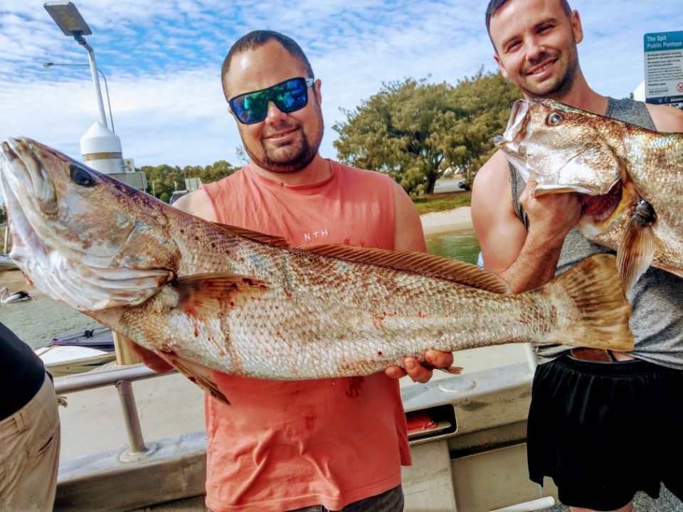 best fishing charters gold coast