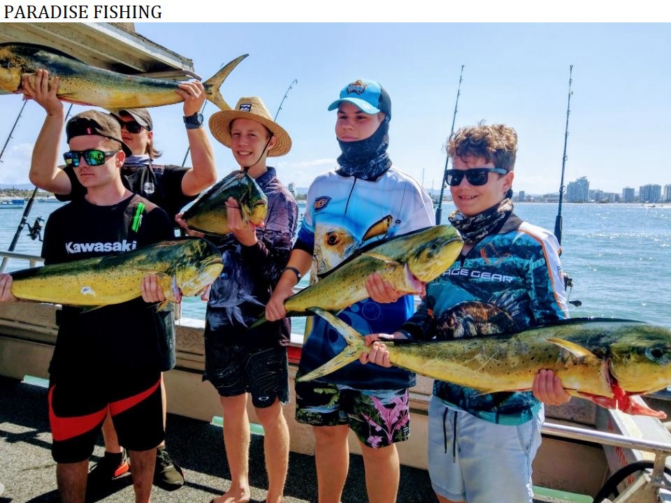 how-full-day-fishing-charters-gold-coast-can-increase-your-profit-paradise-fishing-charters