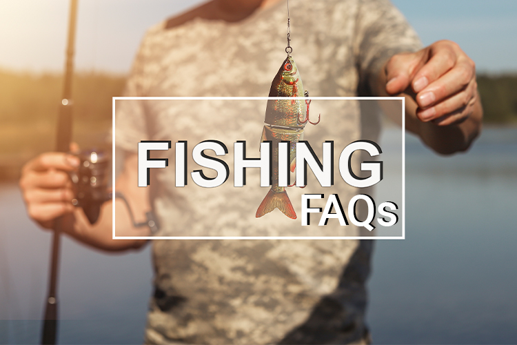 5 Common FAQs for Deep Sea Fishing in Gold Coast
