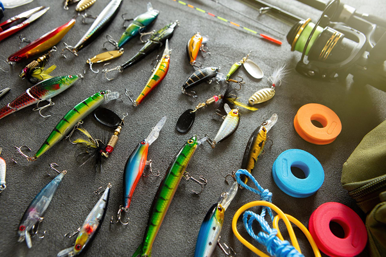 Types Of Baits For Fishing On Gold Coast